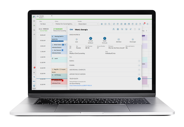 counseling EHR Solution