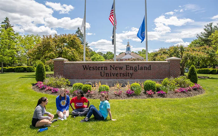 WNE University Case Study